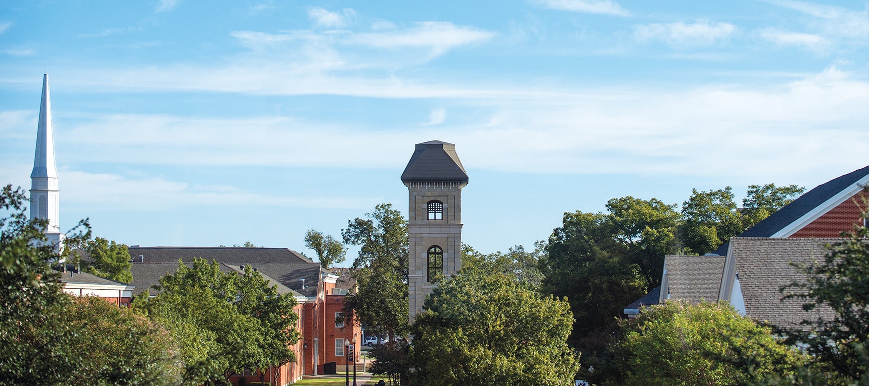 HPU campus skyline