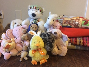 Stuffed animal and blanket drive for web