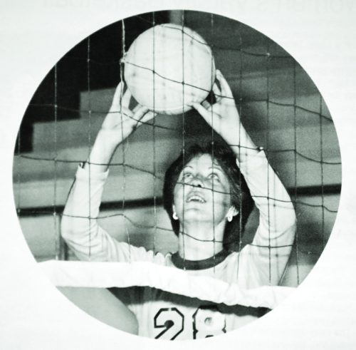 Mieth at VB net